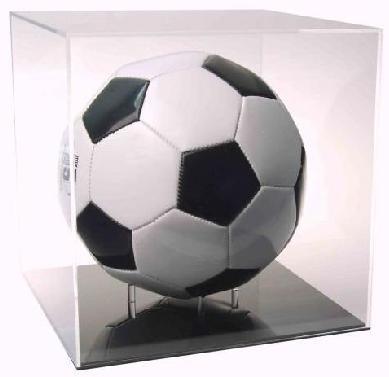 Beautiful Shape Clear Acrylic Display Box With Reasonable Price