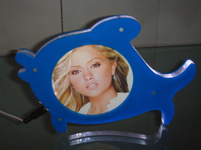 Customized Picture Frame Clear Acrylic Brochure Holders With LED Light