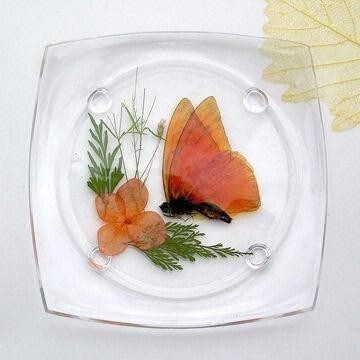Acrylic Coaster with Genuine Floral Design, Customized Logo Prints are Accepted